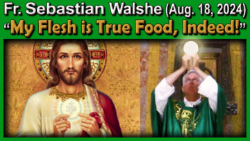 Aug. 18, Fr. Sebastian - My Flesh is True Food (7 AM)