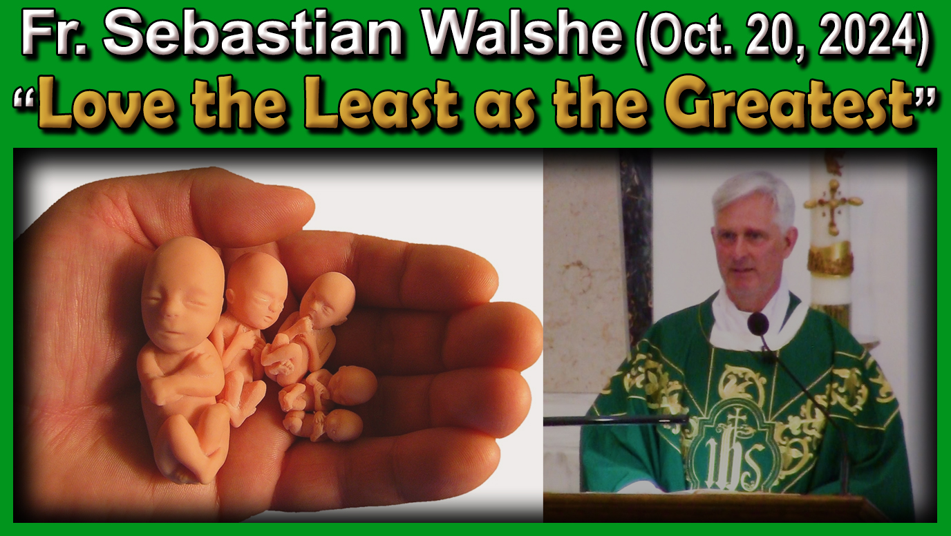 Oct. 20 - Fr Sebastian - The Greatest is Servant of All - The Least is as The Greatest (9 AM)